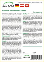 Tropisk melontræ / papaya