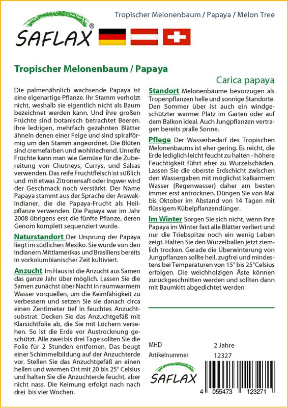 Tropisk melontræ / papaya