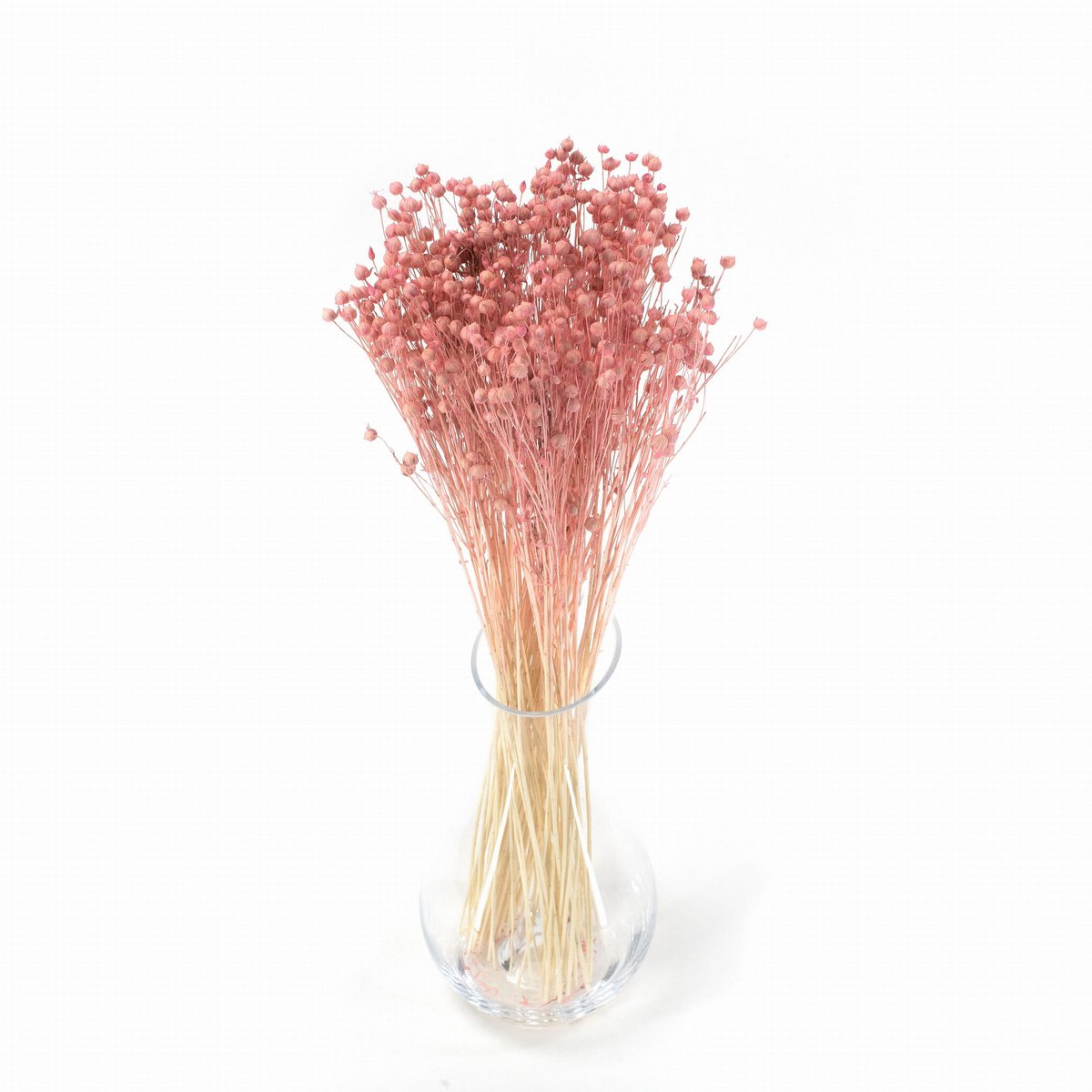 35 tiges de lin séché rose clair