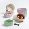New Party Pet Bowl 16,5cm Set 2 Lilac