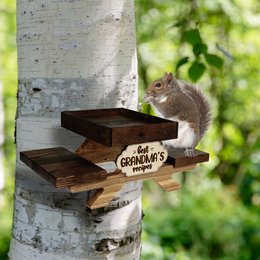 Funny Squirrel and Chipmunk Feeder For Outside, Picnic Table Feeder for Squirrels, Tray for Fruit and Nuts, Wildlife animal wooden bench
