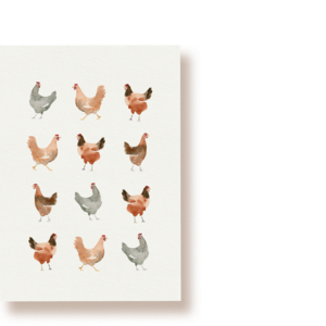 A Dozen Hens | Chickens postcard