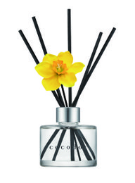 Cocodor Daffodil Diffuser 120 ml