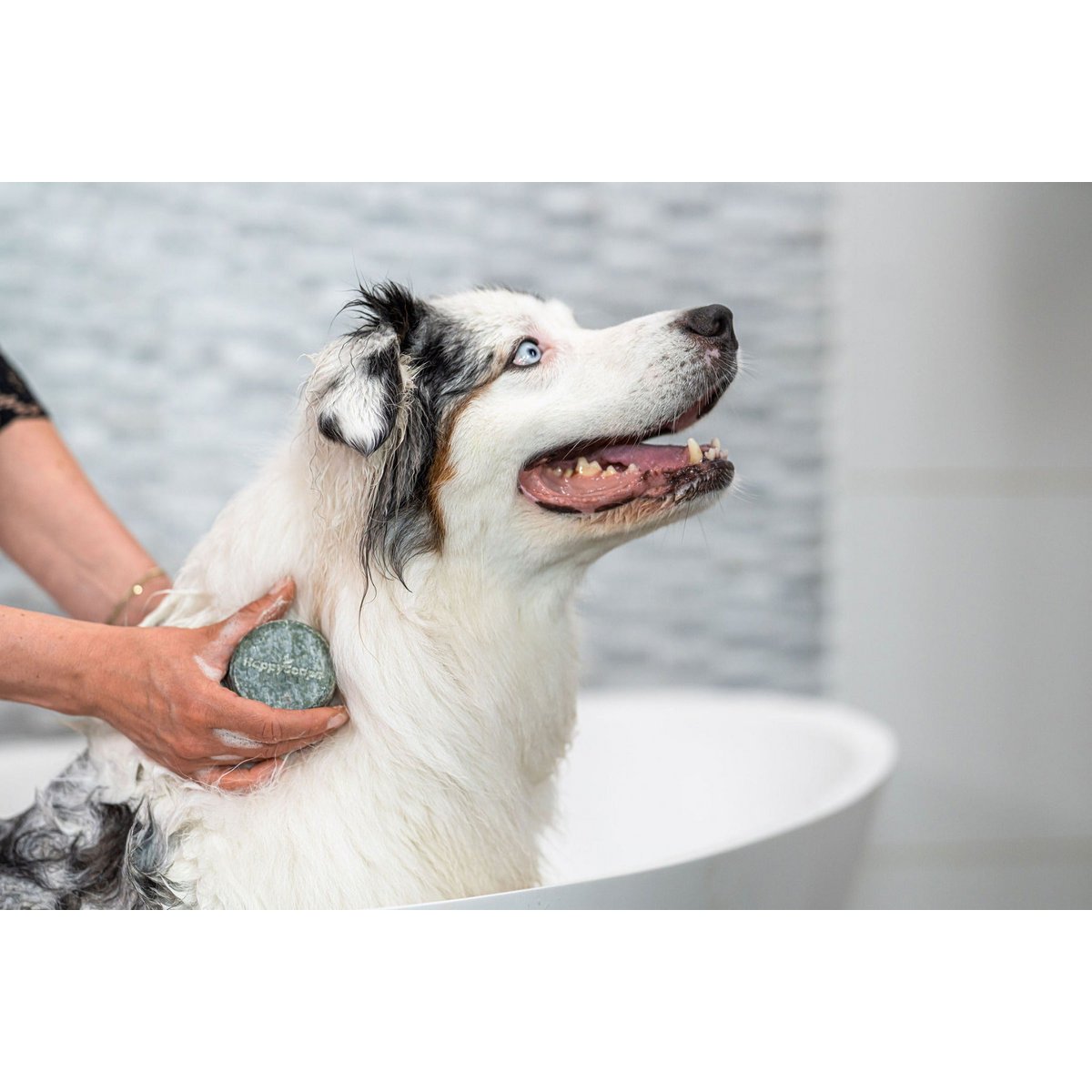 Dog Shampoo Bar – Universal