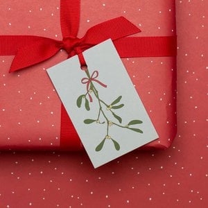 5 Christmas gift tags "Mistletoe" in mint made from 100% recycled paper