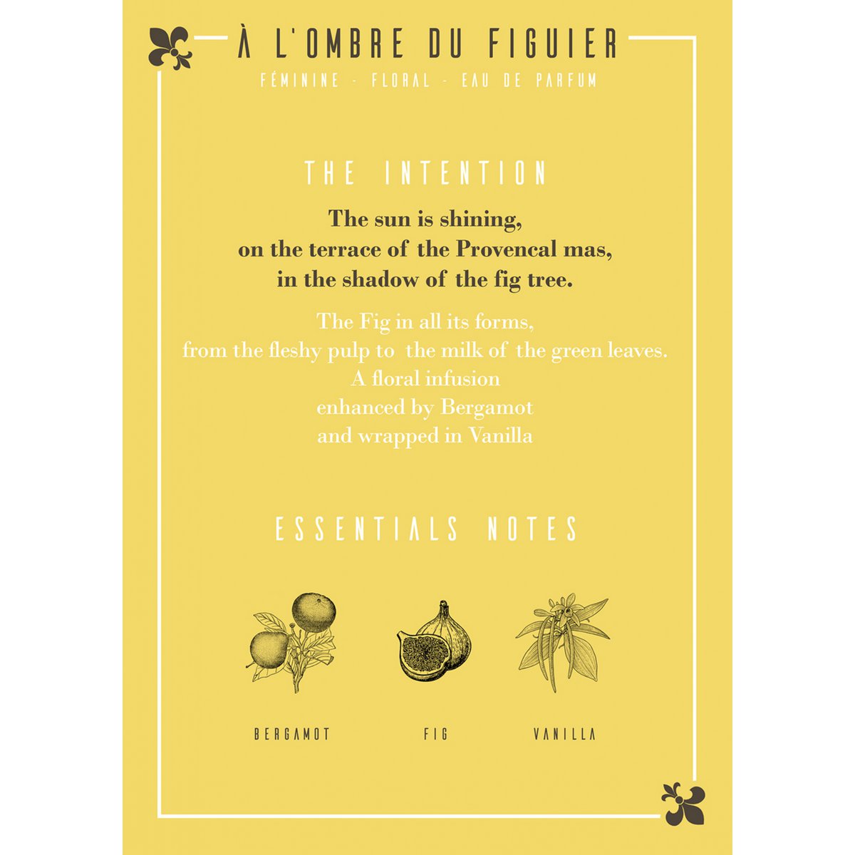 In the Shadow of the Fig Tree Eau de Parfum 50ml