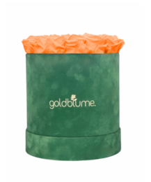 Velvet Green Collection