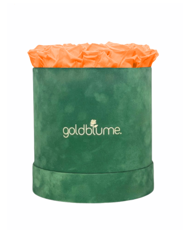 Velvet Green Collection