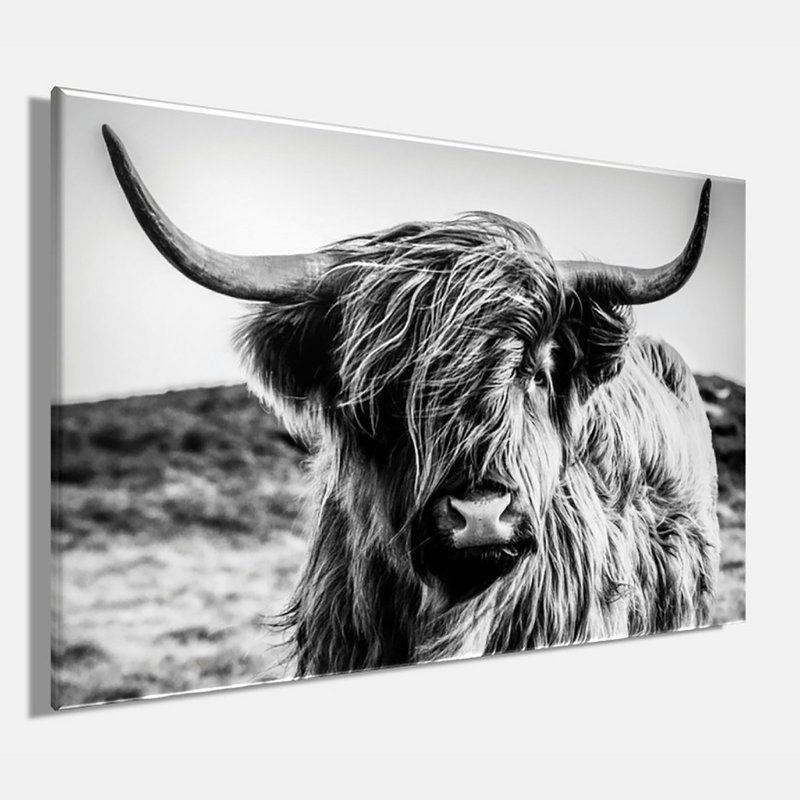Wandfoto HOCHLANDRIND 60x90 cm canvas foto op spieraam decoratie modern