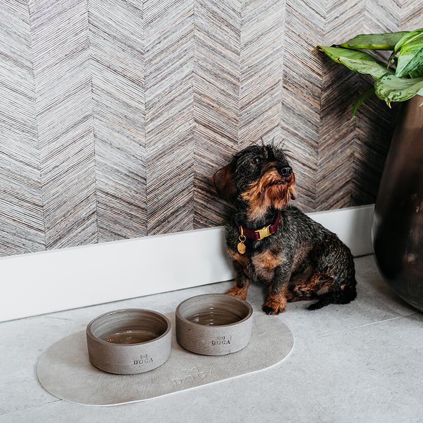 Comedero para perros Hormigón DOGA