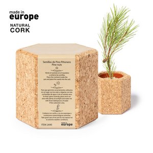 Pot met dennenzaden. Inclusief substraat, pot en wordt gepresenteerd in een originele natuurlijke kurkcontainer. Met plantinstructies en met gemaakt in Europa -logo.
