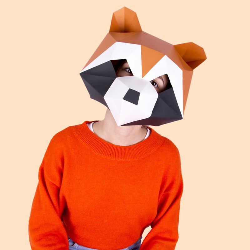 ENSEMBLE MASQUE LION PANDA RACCOON HF