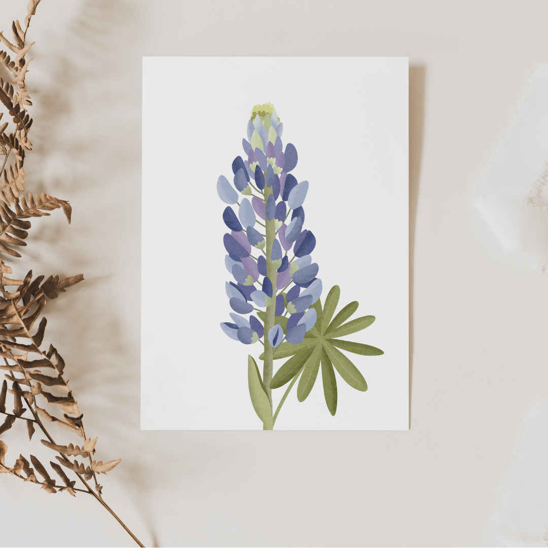 Postkarte Blume Lupinen - Botanische Grußkarte Lupinen Island - Iceland Lupines Flower Card