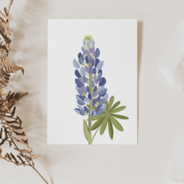 Postkarte Blume Lupinen - Botanische Grußkarte Lupinen Island - Iceland Lupines Flower Card