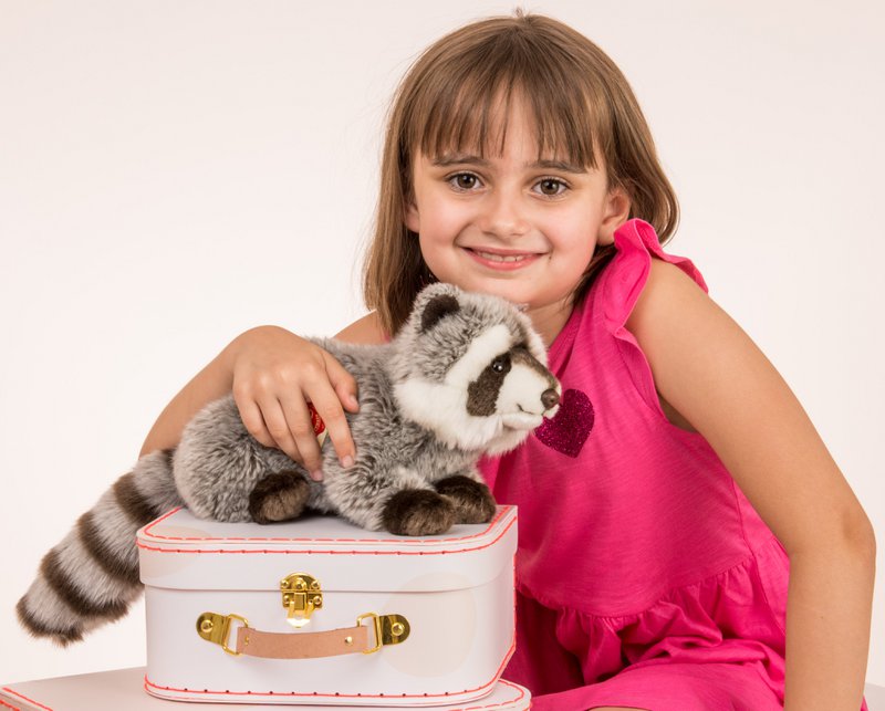 Raccoon 29 cm - plush toy - soft toy