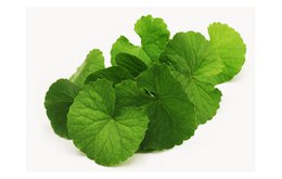 CAPILLARY STOP - riduce gli arrossamenti del viso, contro couperose, rosacea e capillari rotti