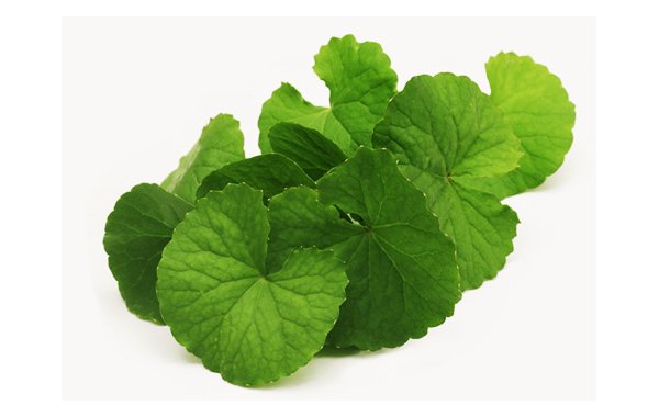CAPILLARY STOP - riduce gli arrossamenti del viso, contro couperose, rosacea e capillari rotti