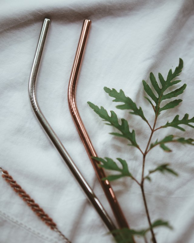 stainless steel straw