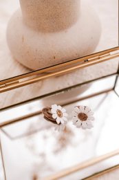 Gummibånd | Daisy Bronze