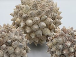 Bola Duren (Set of 3)
