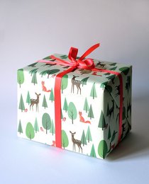 Bambi & Vos inpakpapier