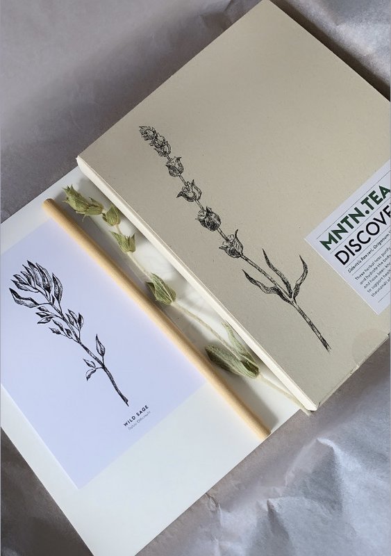 Herbal illustrated Cards