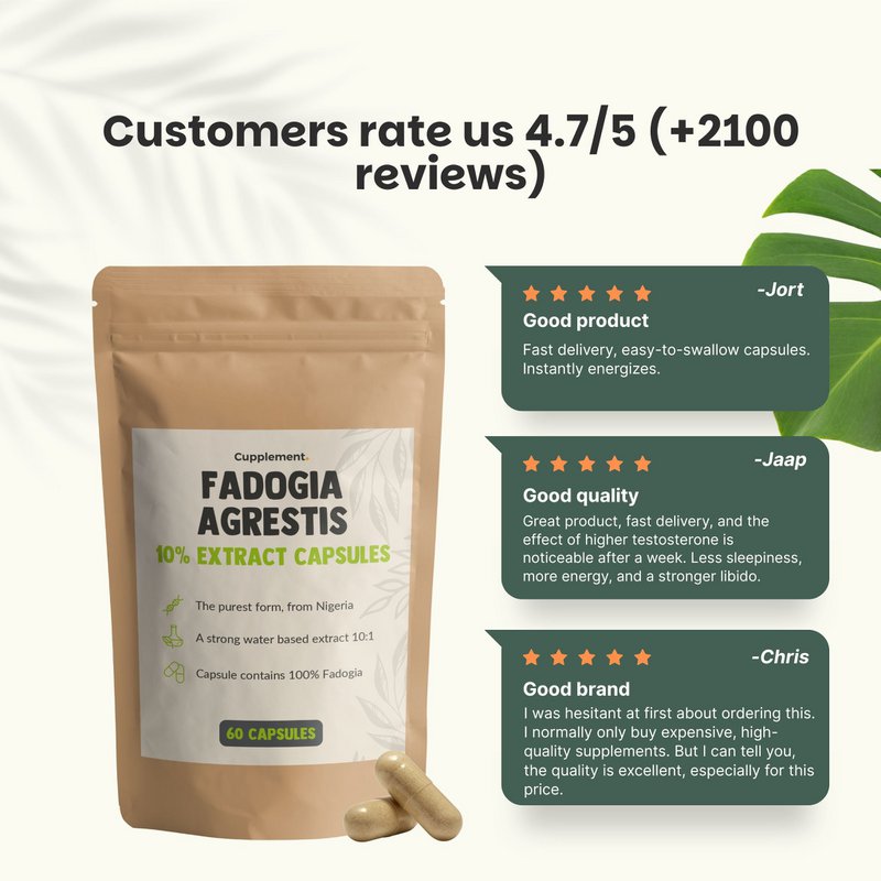 Fadogia Agrestis Kapsułki 500 mg - 60 Kapsułek