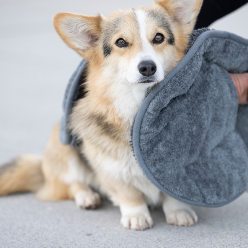 Hundehandtuch Ultra Dry Comfort Graphit