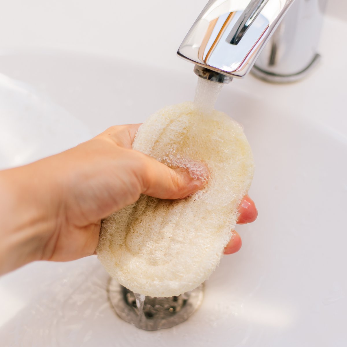 Loofah soap dish