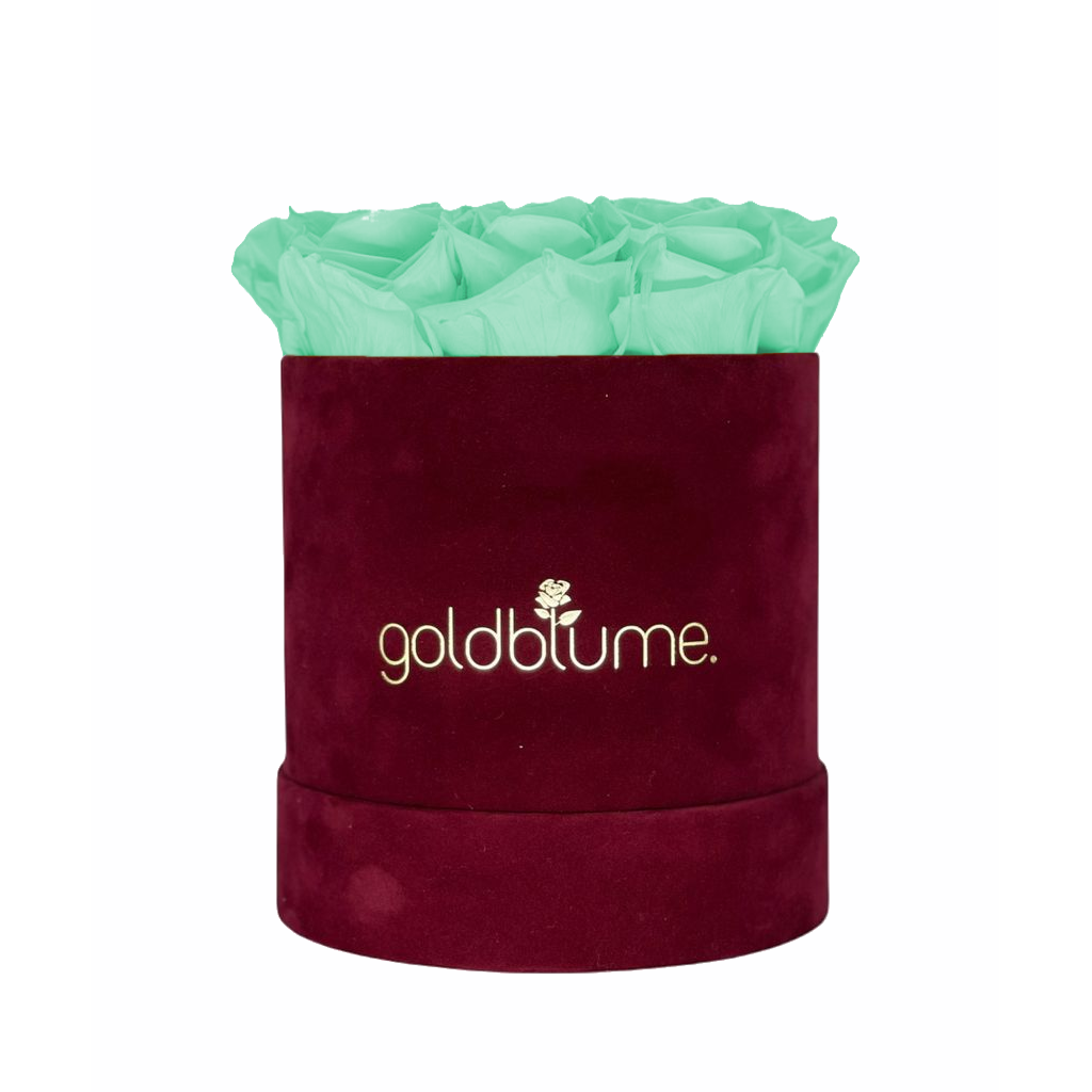 Collection Velours Bordeaux