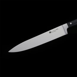 IZUMI ICHIAGO Gyoto Fleisch- und Fischmesser  , Tecaran Griff , "Professional Chefmesser", 10 inch blade