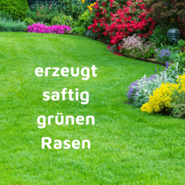 Rasenmax Rasendünger Rasen Booster 3 kg - für 120 m2 Rasenfläche