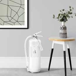 Estintore 6 kg - Bianco