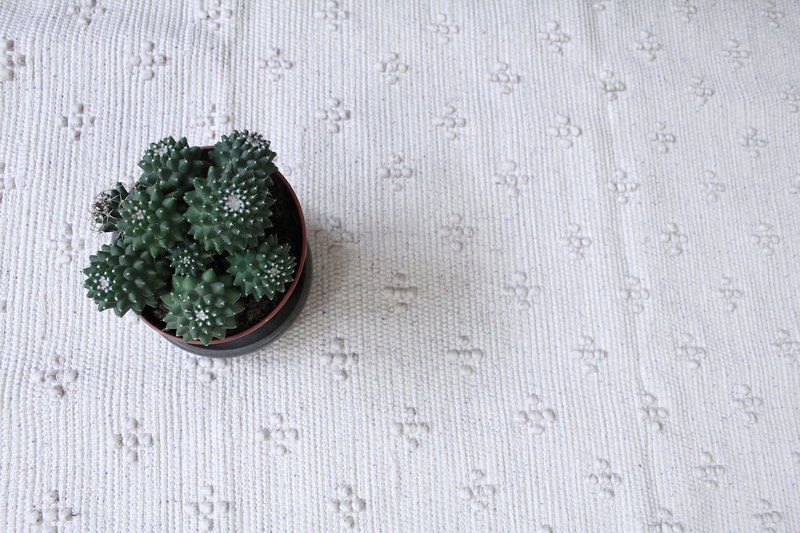 liz white woven cotton rug medium