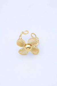 RVS ringen