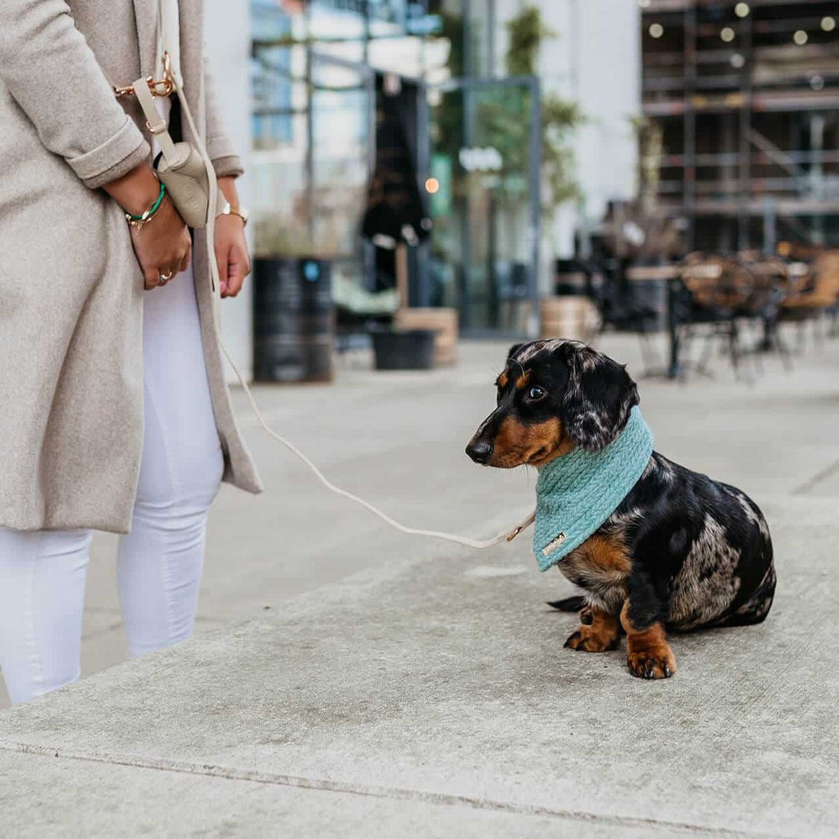 Dog bandana Cably Mint