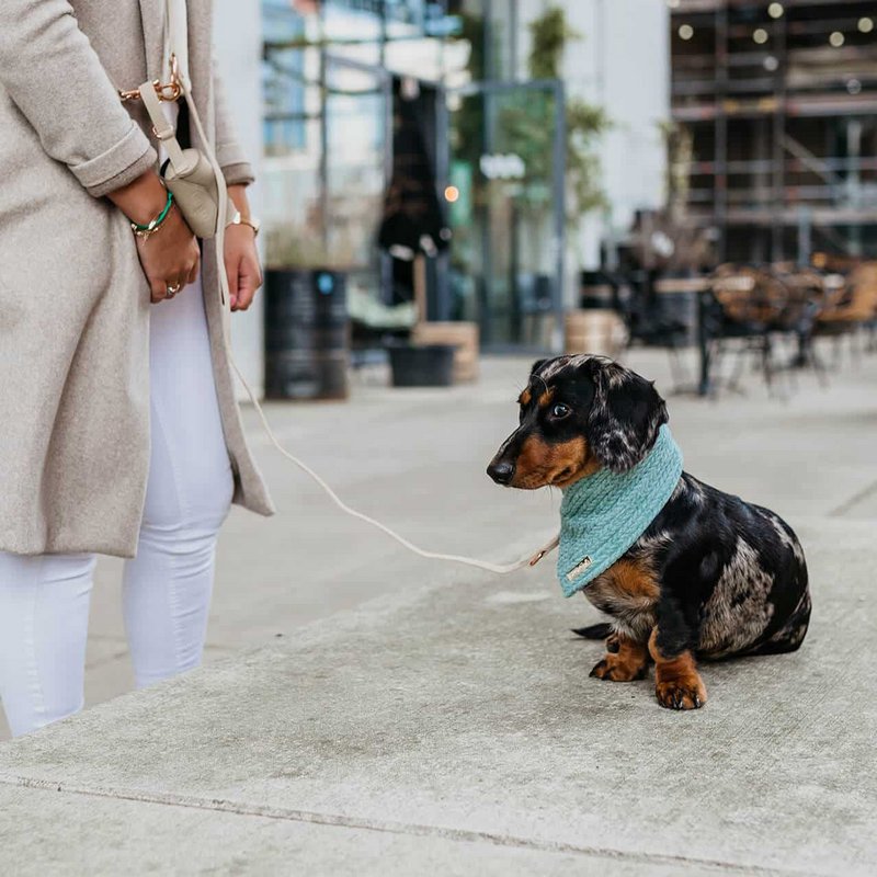 Hundehalstuch Cablely Mint