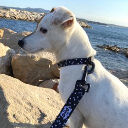 Collana "CACHOU" in bianco e nero