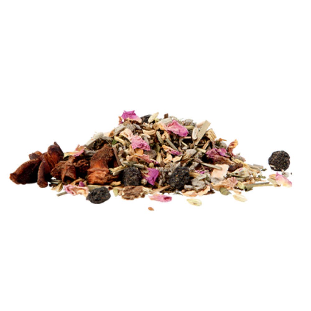 Ingwer & Aronia (Pure Wellness) - Bio Superfood Tee