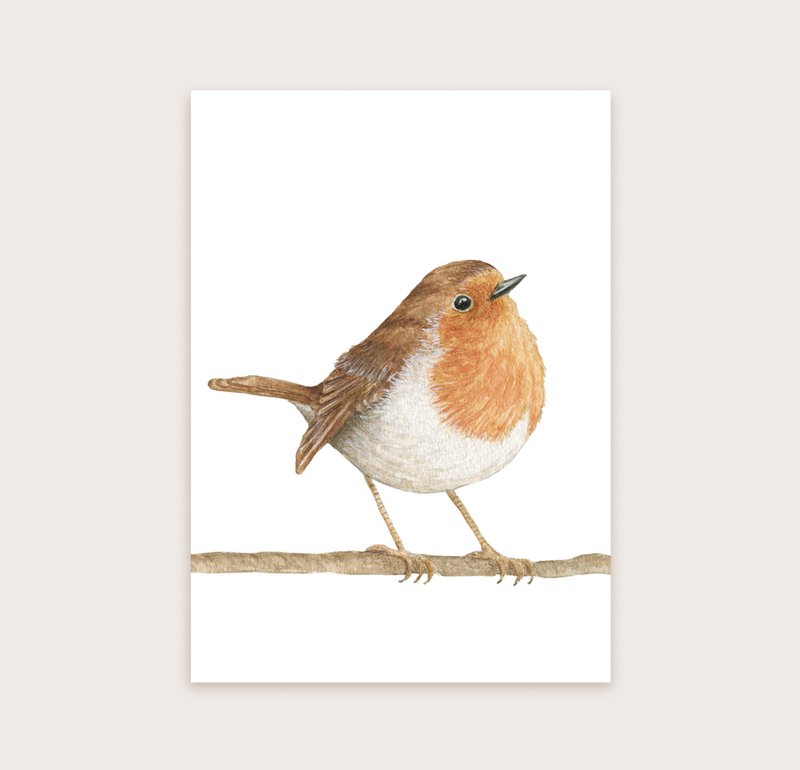 Postkort Robin