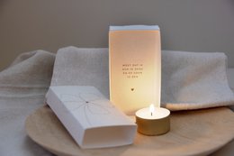 Light in a box bloem