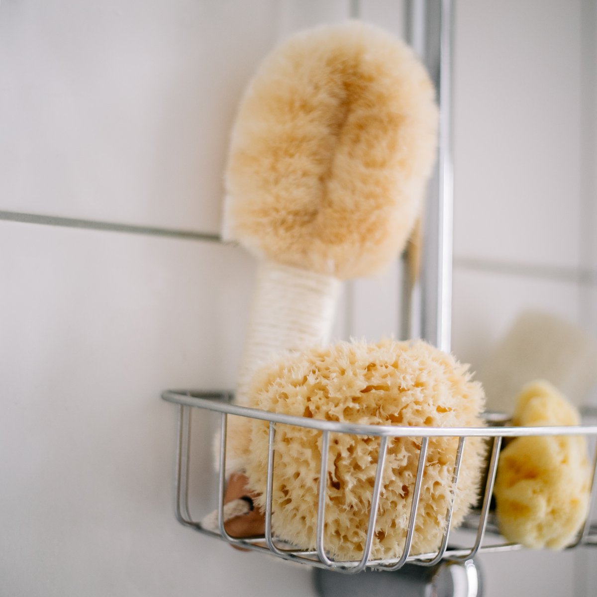 Natural sea sponge in eco gift box, large