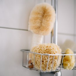Natural sea sponge in eco gift box, large
