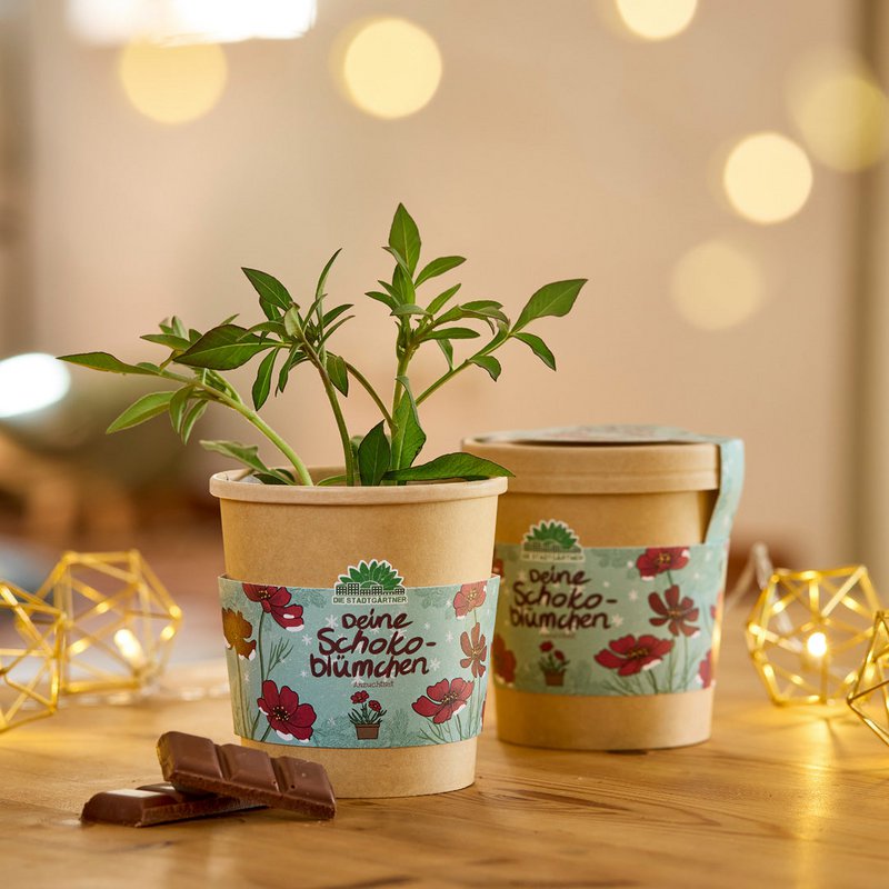 Schokoblumen aus dem Becher