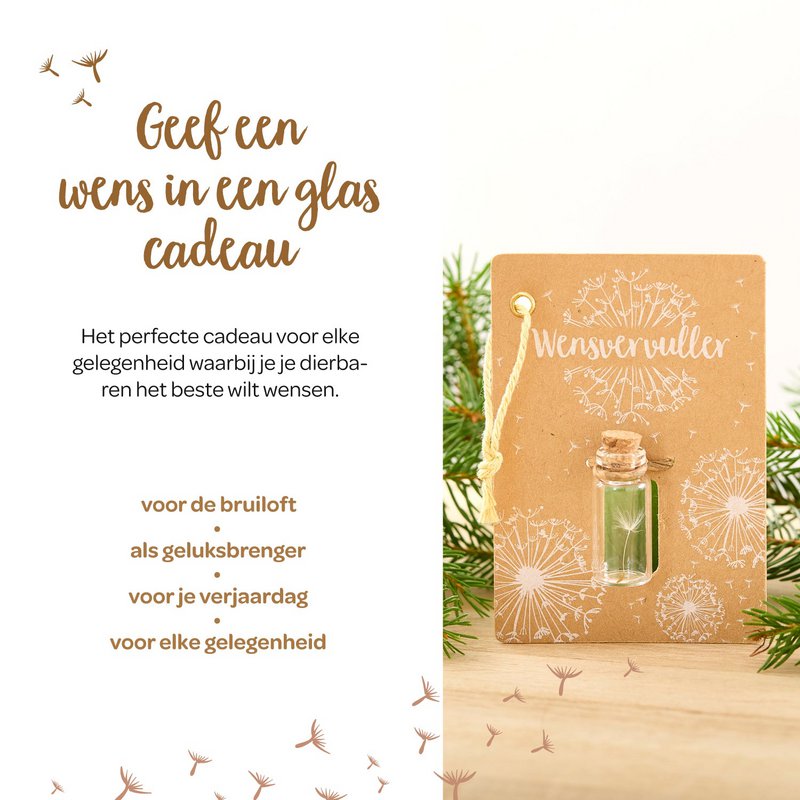 Kleine Wensvervuller (NL)