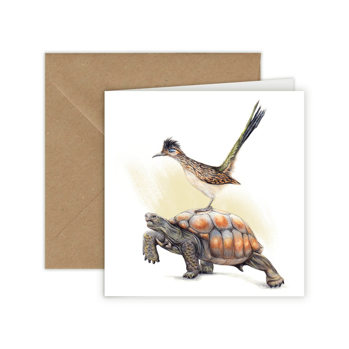 Tortoise & Roadrunner - Greeting Card, 13 x 13 cm, Birds