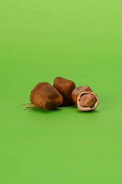 Hasselnøddechokoladetrøfler XL æske 250g | Brændt hasselnøddechokolade