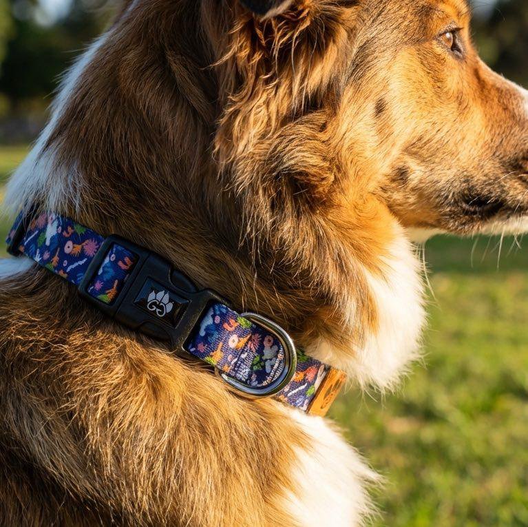Deep agua dog collar