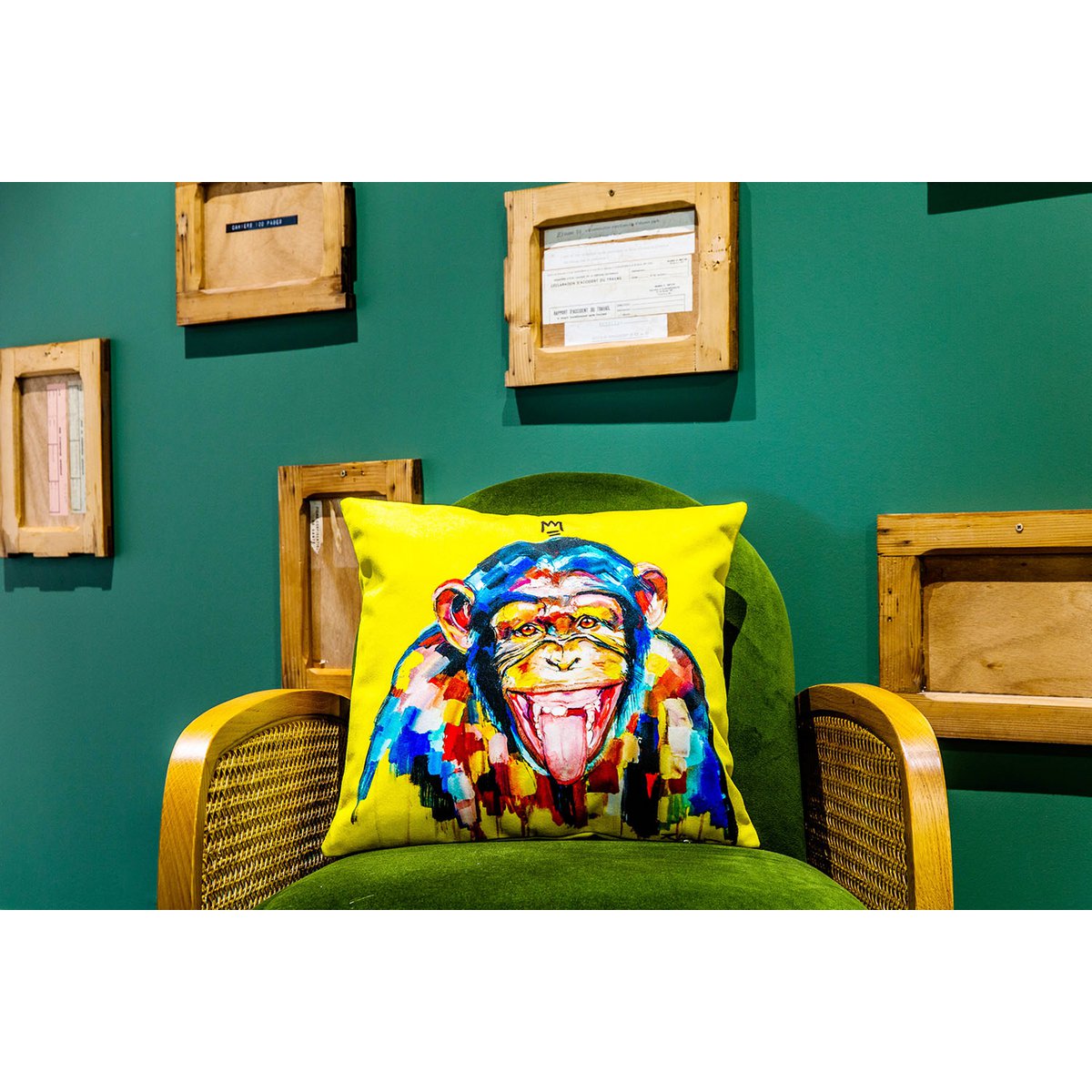 Funky Monkey cushion by Vincent Richeux