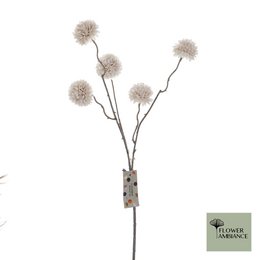 Flower Ambiance